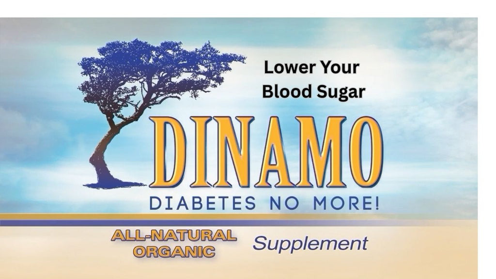 DINAMO Superfood Natural Organic Powder Blend - 2 MONTH supply